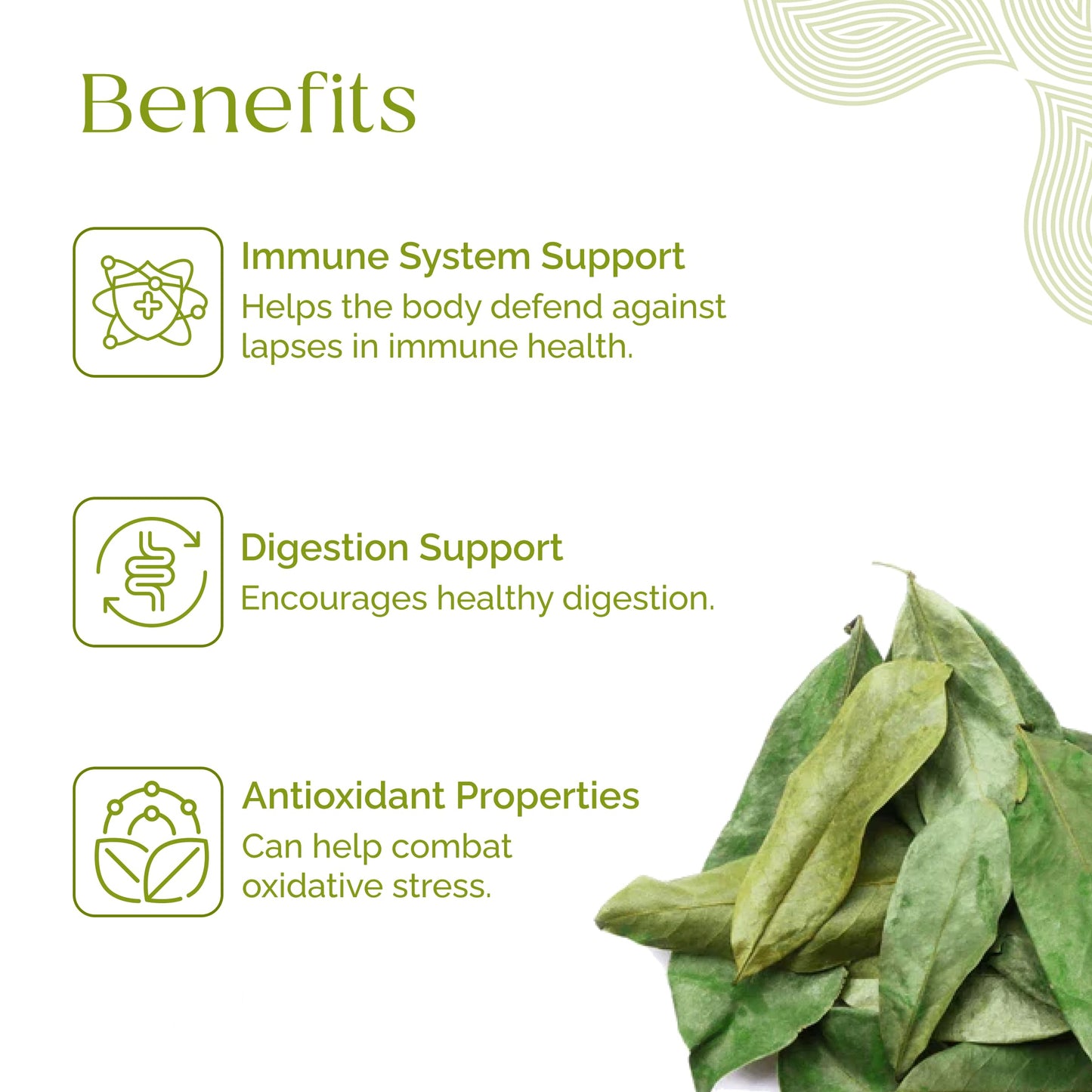 Organic Pharmacist Dried Soursop Leaves, Graviola Leaf, Guanabana, Guyabano Leaf, Used for Tea and Extract, Soursop Bitters for Tea, 30G, 80+ Whole