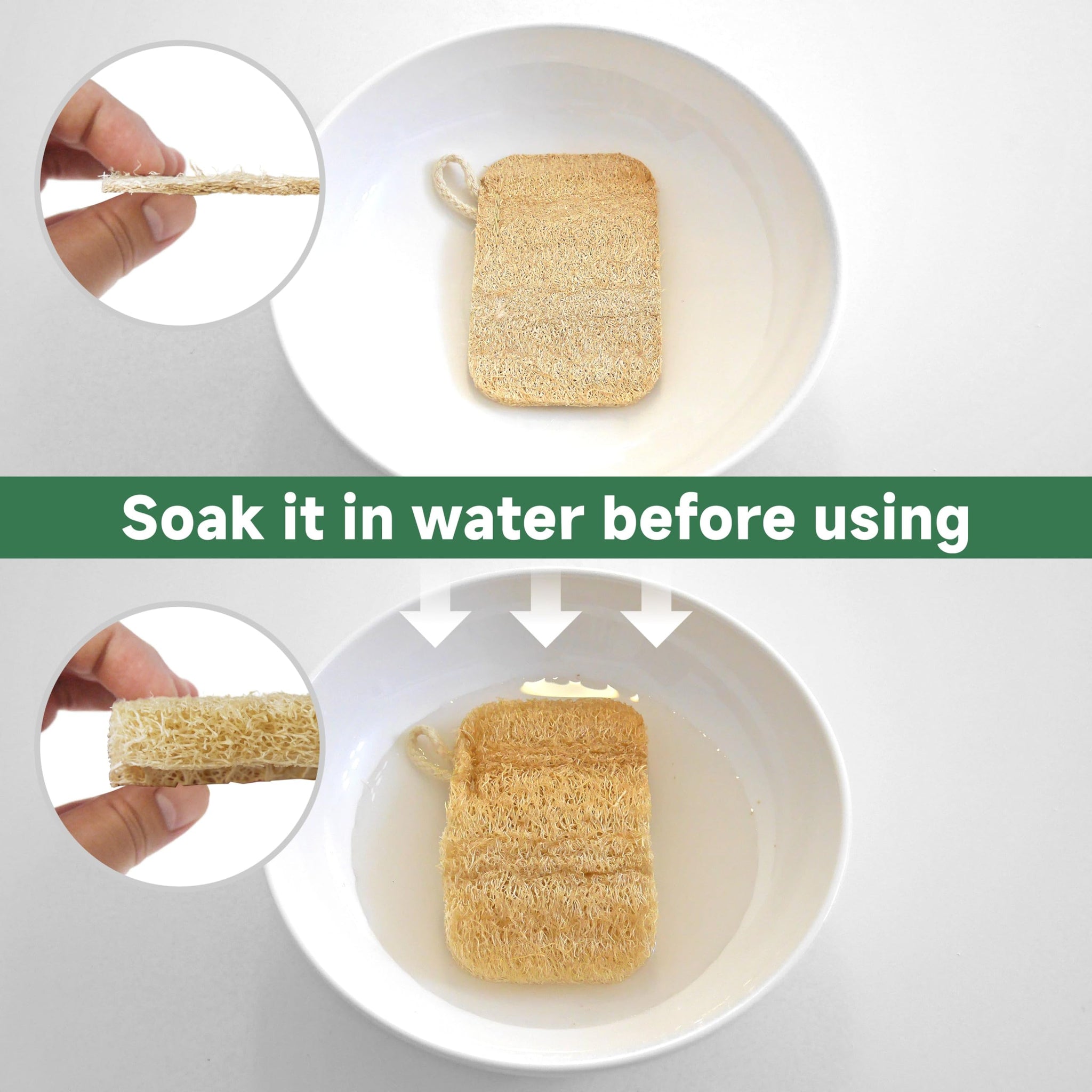 Natural Loofah Dish Sponges 3 Pack | Biodegradable & Eco Friendly Kitchen Sponges for Washing Dishes | Heavy-Duty Dishwashing Sponge | MossyWisp (3)