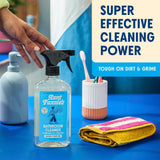 Aunt Fannie's All Purpose Bathroom Cleaner Vinegar Spray for Shower, Tub, Toilet, Tile, Sink and Fixtures, 16.9 Ounces (Pack of 1)