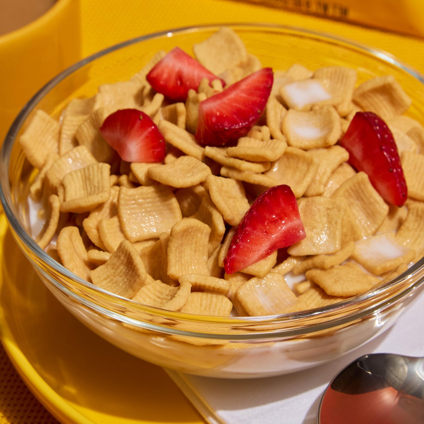 Catalina Crunch Protein Cereal, Honey Graham, 9 oz Bag (Pack of 1)