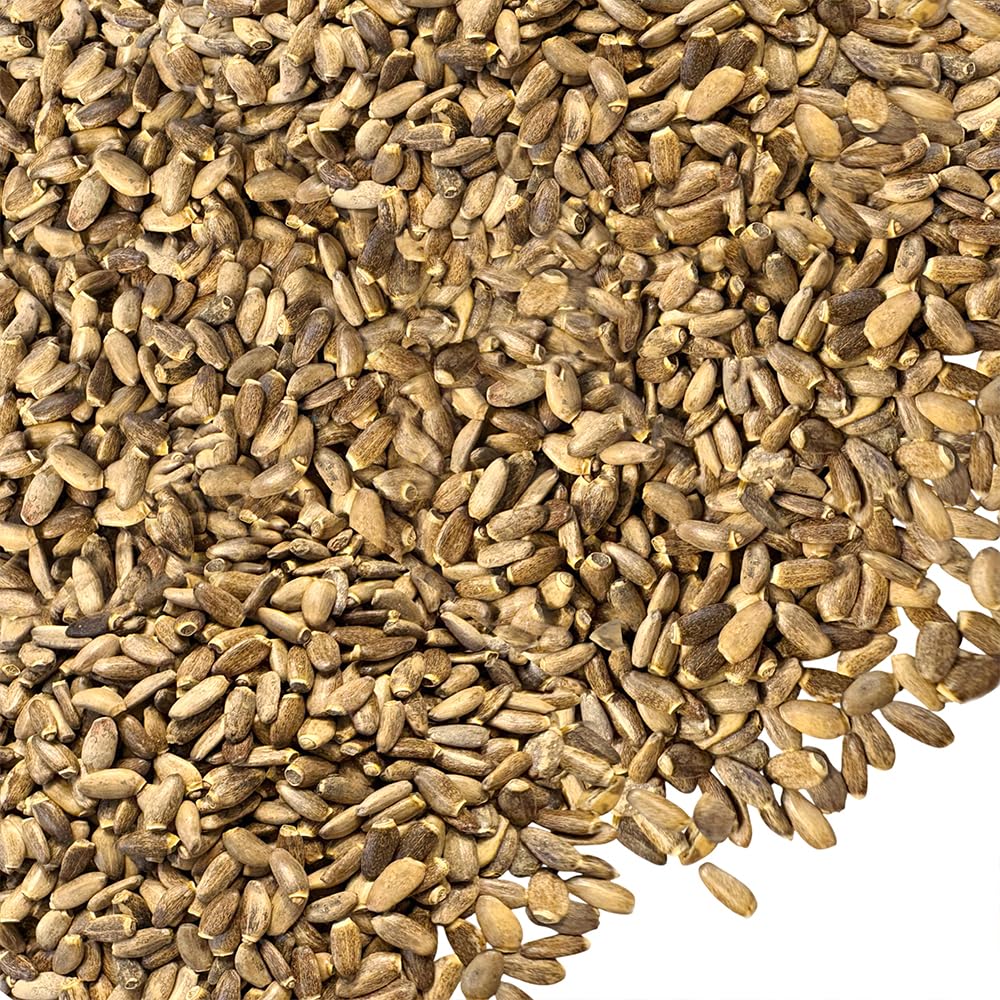 Siberian Green Milk Thistle Dried Whole Seeds Tea 340g (12 oz) Clean Caffeine-Free Harvest Botanical Silybum marianum
