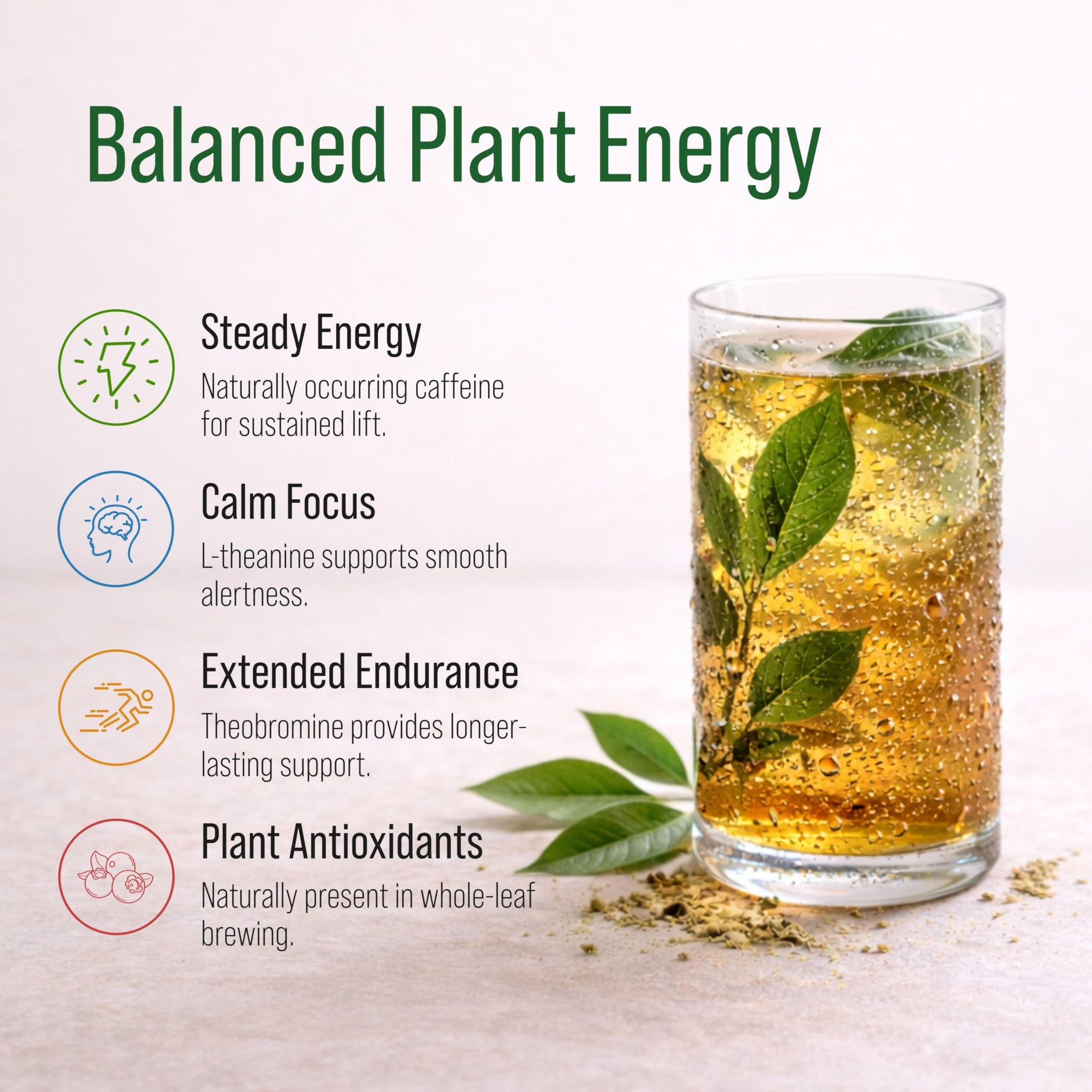 Shrub Fuel Organic Energy Drink - Made With Fresh Brewed Guayusa Tea, 100% Plant Brewed Clean Energy For Calm Focus, Zero Sugar And No Crash, 16 Fl Oz
