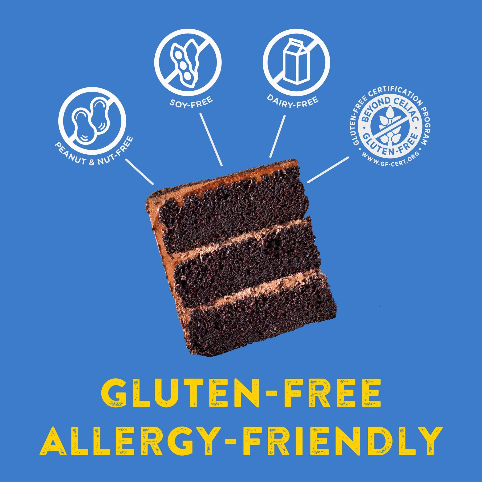 Kinnikinnick Cake Mix Variety Pack - Angel Food Cake, White Cake and Chocolate Cake Mixes- Gluten Free, Allergy Friendly Cake Mixes - 3 Pack, 1 of Each