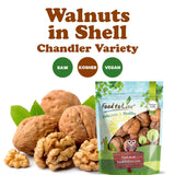 Food to Live Jumbo Walnuts in Shell, 5 Pounds - California Chandler Variety. Rich in Omega-3s and Antioxidants. Keto-Friendly, Fresh, Raw, Kosher