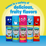 Push Pop Jumbo Individually Wrapped Bulk Lollipop Variety Party Pack - 18 Jumbo Lollipop Suckers in Assorted Fruity Flavors - Fun Candy for Birthdays