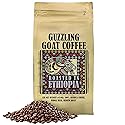 Guzzling Goat Ethiopian Coffee Beans | Premium 100% Arabica Whole Bean Coffee Medium Roast | Strong Flavorful Brew | Sourced & Roasted in Ethiopia | 1