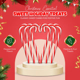 Christmas Candy Canes 12 Pack - Classic Red & White Peppermint Cane Sticks Individually Wrapped - Bulk Christmas Candy for Holiday Treats