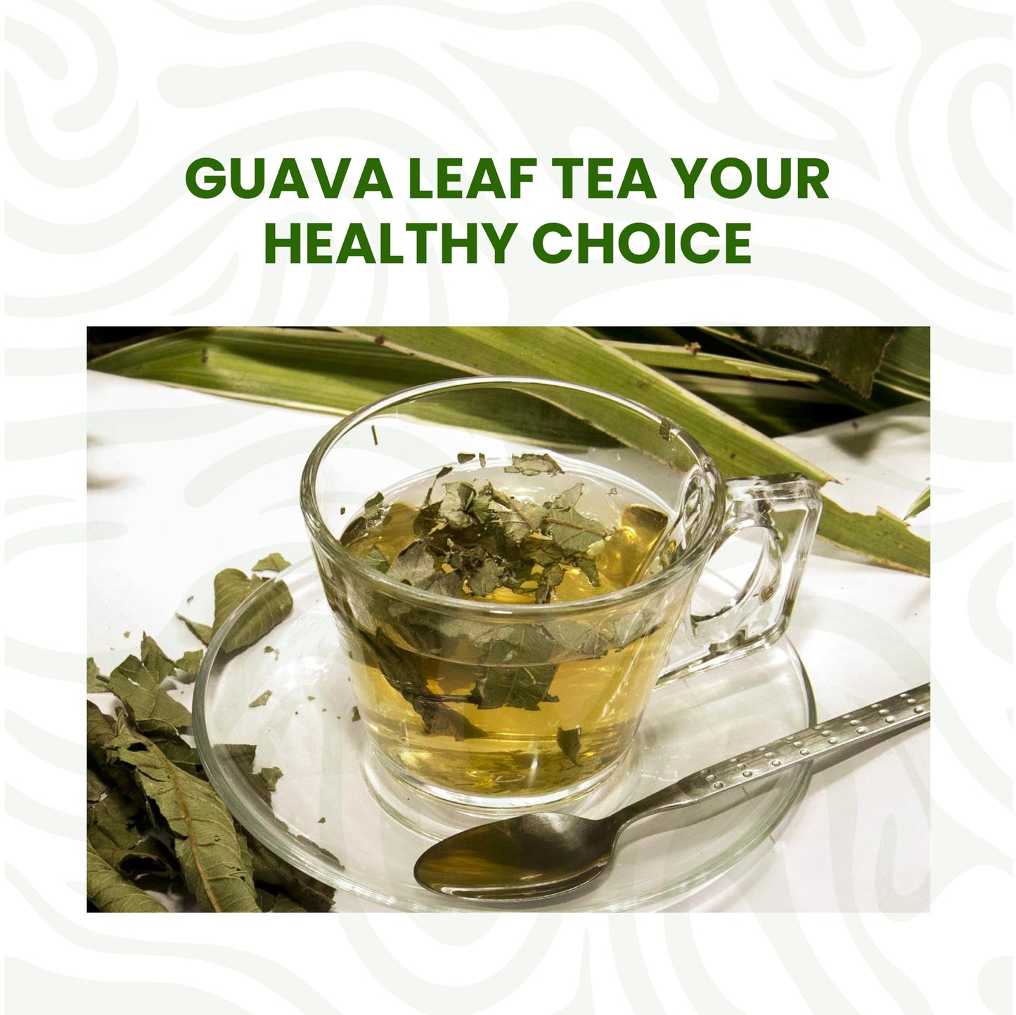2.6oz Guava Leaves Dried, Hojas de Guayaba Secas, Dried Guava Leaf, Leaf Tea, Non-GMO, No Additives, Caffeine-free. by Akshit