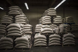 Caffe D’arte Campania Ground Coffee - Dark Roast, Bold & Robust, Roasted in Seattle, Crafted for Drip Coffee Makers, 12 oz