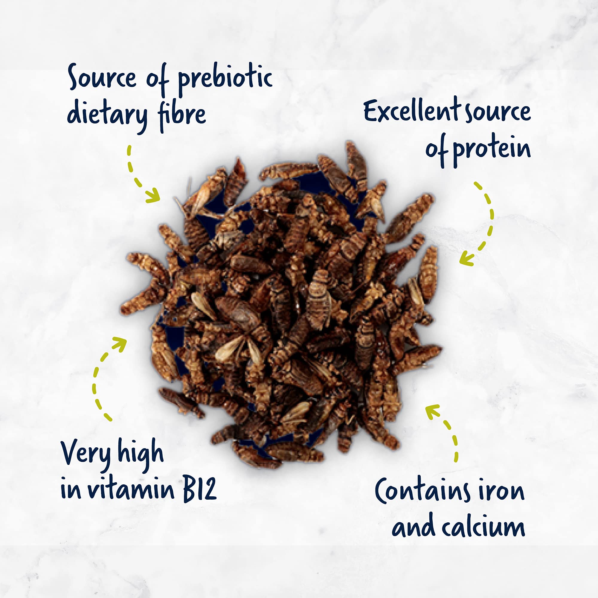 ENTOMO FARMS Whole Roasted Crickets - Canadian Raised - 113 Grams