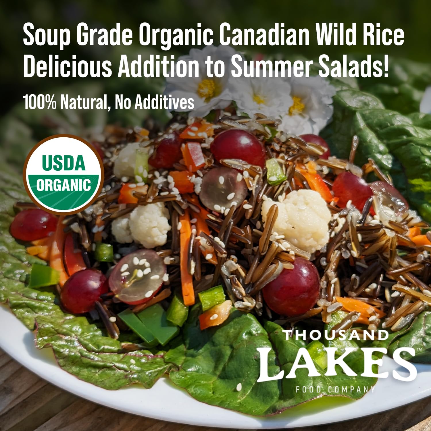 Thousand Lakes Organic Canadian Wild Rice - Soup Grade - 1.25 pounds | 100% Wild Rice | Wild Harvested