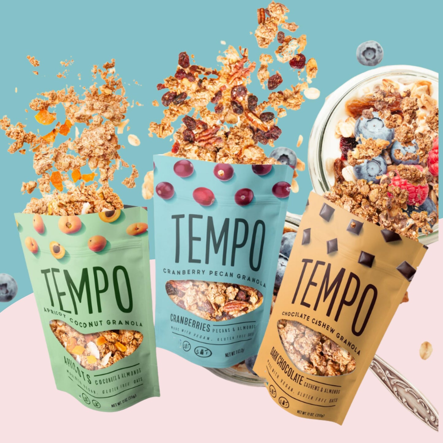 Tempo Loose Granola (11 Ounce (Pack of 1), Cranberry Pecan)