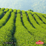 ÇAYKUR Rize Turist Large Tea Bags for Teapot Brew, Bright Red, Loose Leaf, Individually Wrapped 40 Bags, 200gr / 7.05 Oz