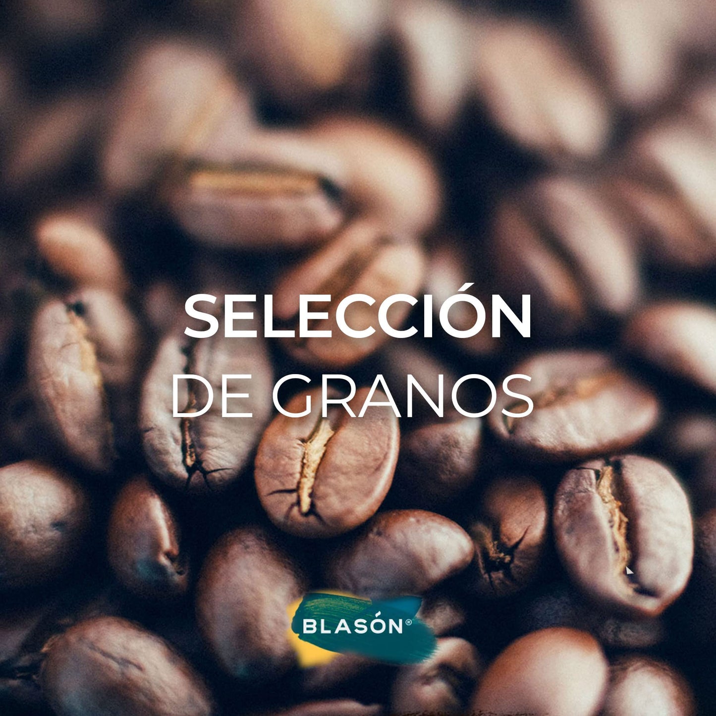 Cafe Blason Mexican Gourmet Coffee High Grown 100% Arabica 35.3 Ounces Café Mexicano Gourmet de Altura 1000 gramos - Classic Roast Ground Coffee Café