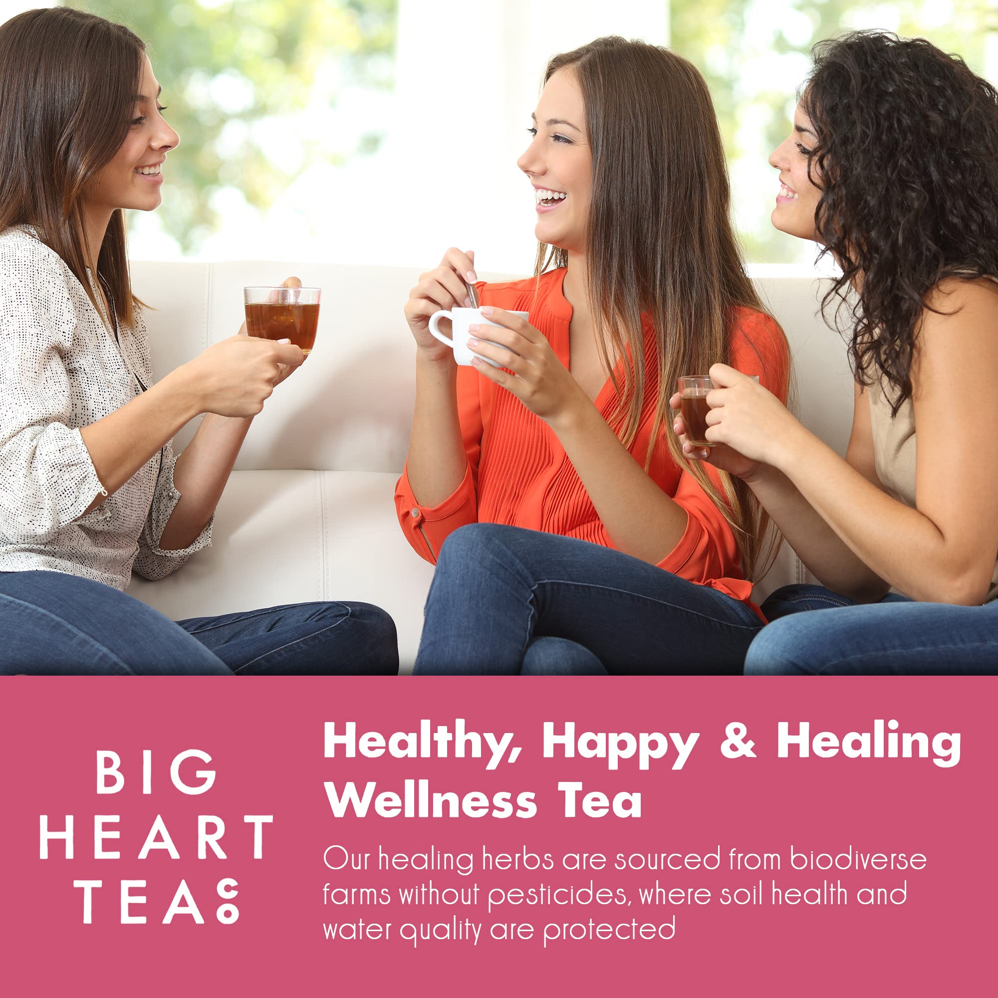 Big Heart Tea Co. Tea Bags - Blushing Pink Hibiscus - Certified Organic, Naturally Sweet Ayurvedic Herbal Decaf Tea with Small Batch Ground Herbs