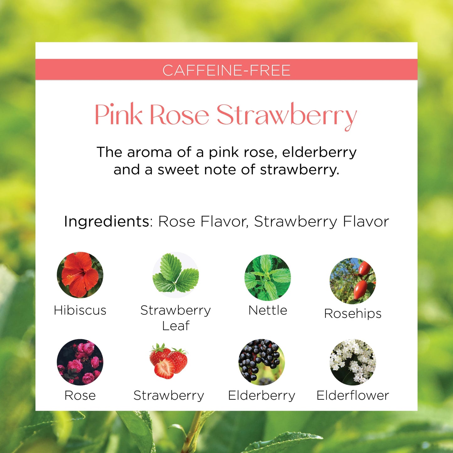 Brook37 Pink Rose Strawberry Eco Herbal Tea - Luxury Caffeine-Free Floral Blend with Hibiscus, Rose, Strawberry & Elderberry | Cold Brew or Mocktail |
