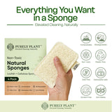 Purely Plant Loofah Dish Sponge 4 Pack- Loofah & Cellulose Premium Kitchen Scrubber, Non Toxic, 100% Plastic Free,Compostable & Biodegradable,Durable