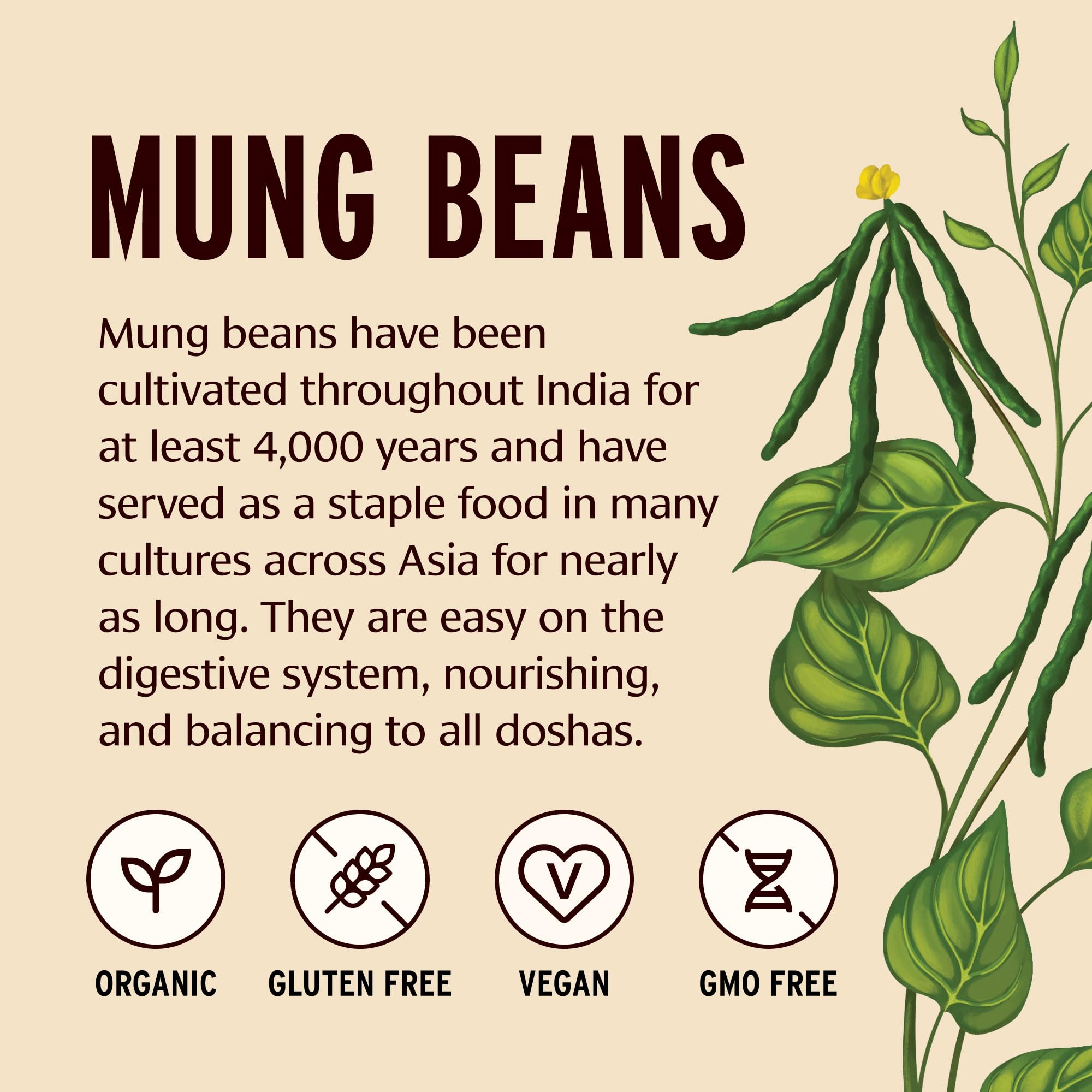 Banyan Botanicals Green Mung Beans - Whole Organic Green Mung Beans for Cooking High Protein Vegetarian Meals - Easy Digestion Meal - 1.65 lb