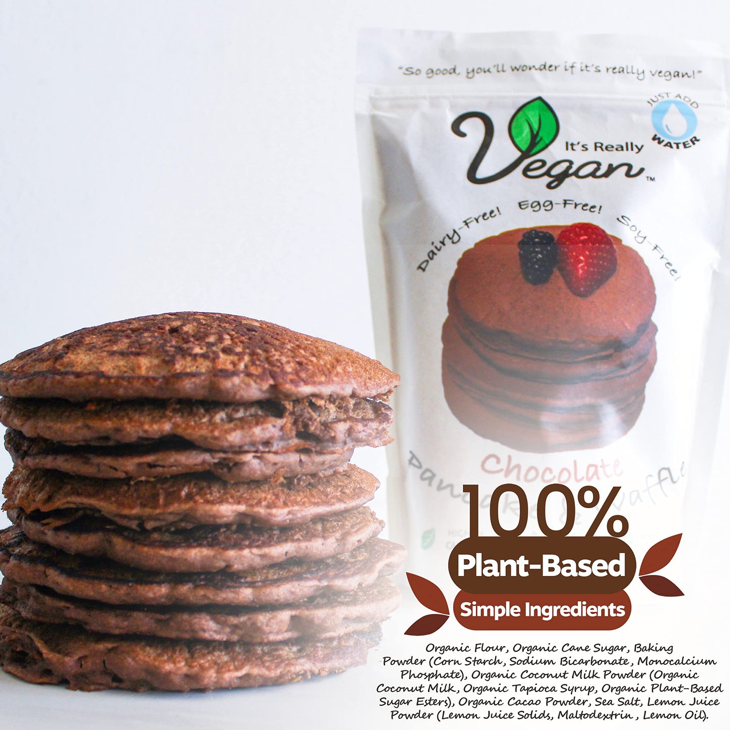 It's Really Vegan Pancake & Waffle Mix | Dairy Free, Egg Free, and Soy Free Mix Pancake Waffle | Serving Size 1/3 Cup Mix (40g) (Chocolate)