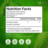 FreshDrinkUS, 240+ Premium Soursop Graviola Dried Leaves Tea, 230-250 Whole Soursop Leaves, Wildcrafted, Graviola , Guanabana , Hoja Guanabana, Loose