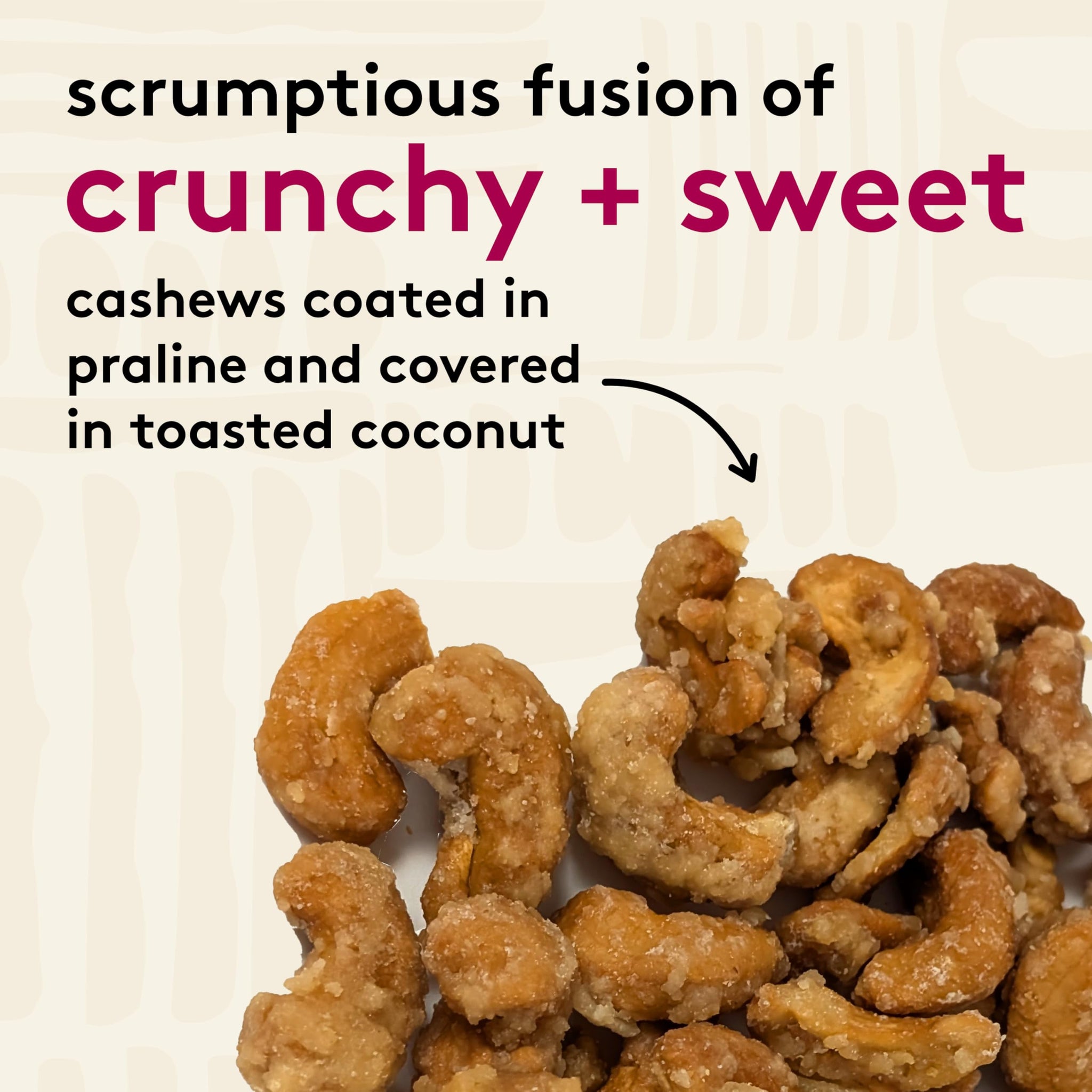 Snak Club Coconutty Cashews, Kettle Cooked Fancy Cashews with Toasted Coconut, Gluten-Free and Kosher Snack, 2.5 oz Snack Bags, 6 Pack