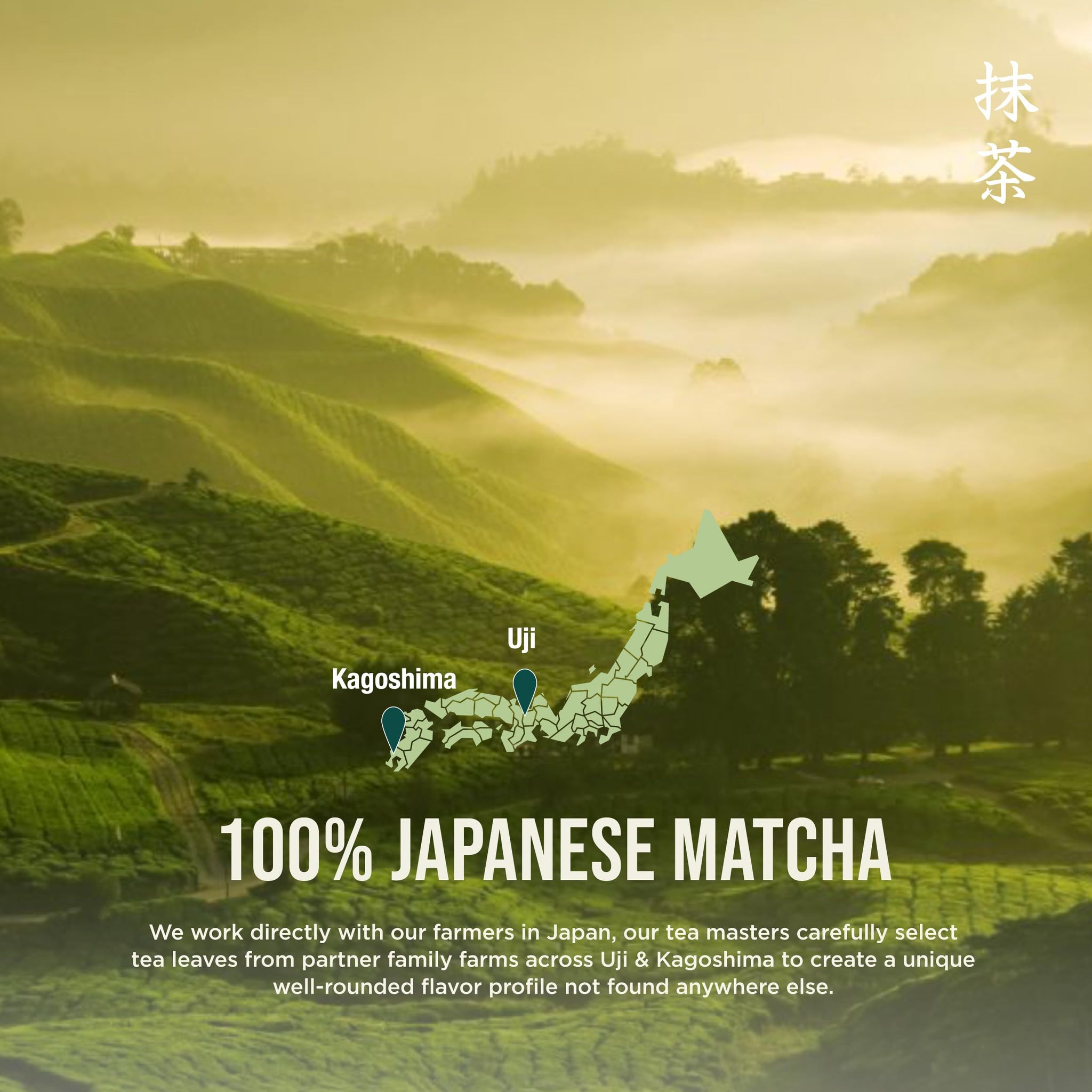 Jade Leaf Matcha Organic Ceremonial Grade Matcha Green Tea Powder - 100% Pure Japanese First Harvest Green Tea for Ceremonies, Usucha, Lattes 454g