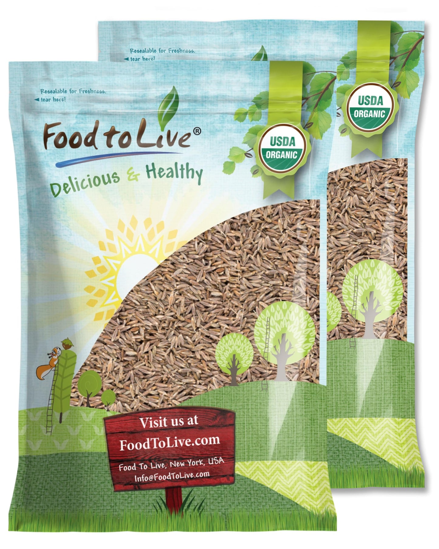 Food to Live Organic Cumin Seeds, 10 Pounds - 100% Natural, Non-GMO, Aromatic Seasoning, Perfect for Spices, Baking and Pickling, Vegan, Kosher, Bulk