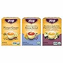 Yogi Tea Iced Tea Variety Pack - 16 Bags per Pack (3 Packs) - Organic Sampler - Includes Mango Ginger, Blackberry Apple Cider Digestive Awakening