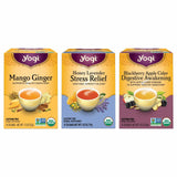 Yogi Tea Iced Tea Variety Pack - 16 Bags per Pack (3 Packs) - Organic Sampler - Includes Mango Ginger, Blackberry Apple Cider Digestive Awakening