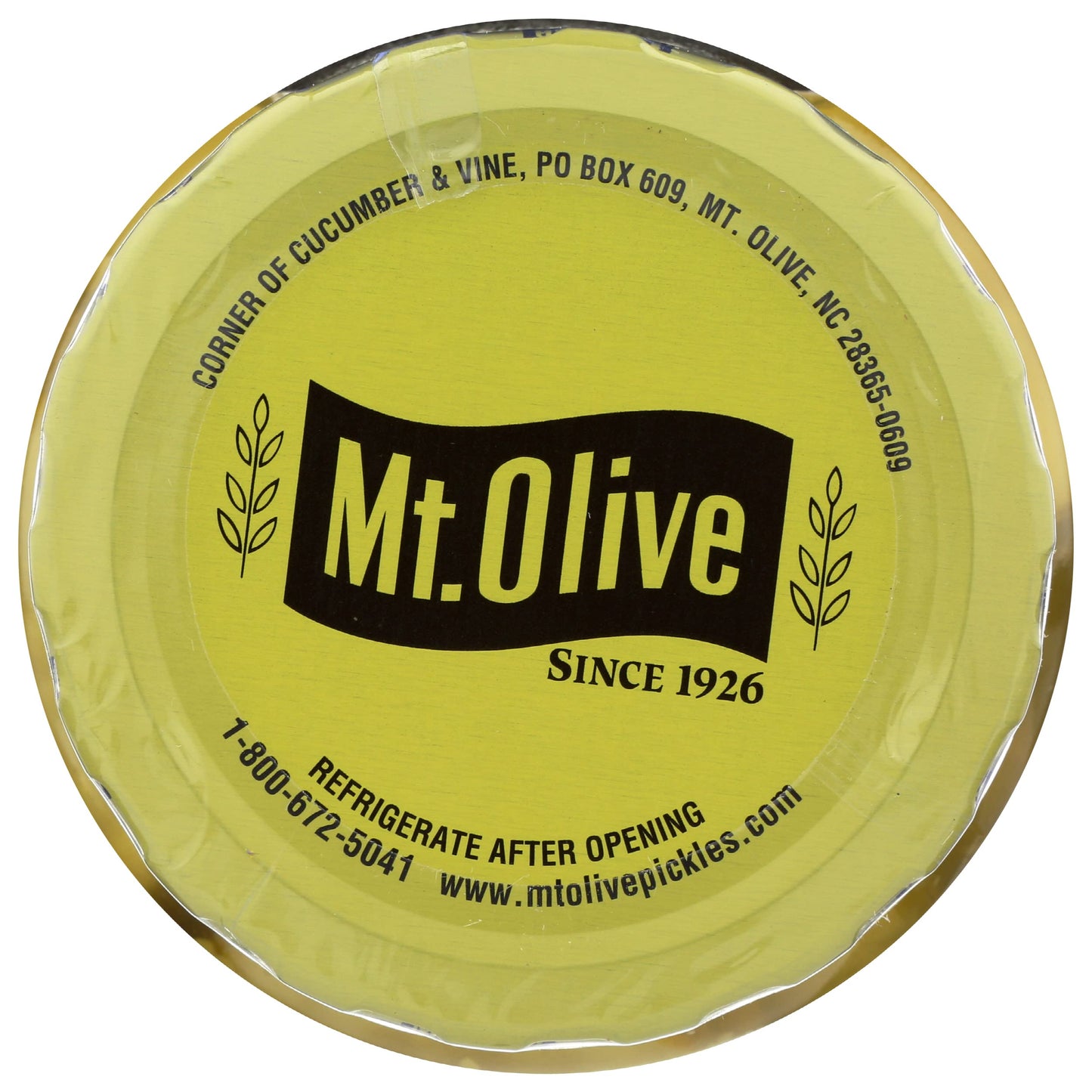 Mount Olive Organic Dill Sandwich Stuffers, 16 FZ