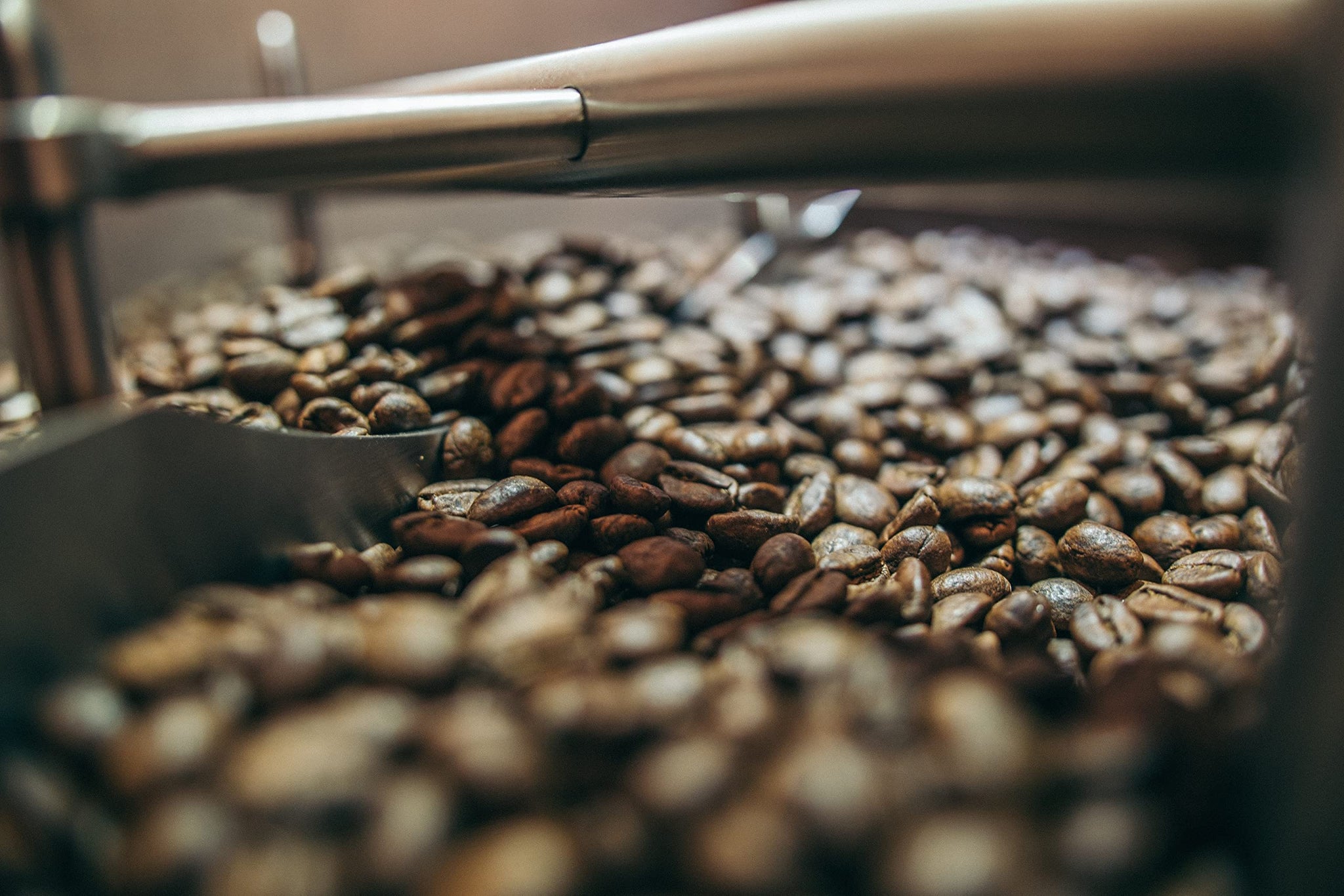 5 LBS of GRADE 1 PREMIUM 100% Certified Jamaica Blue Mountain Coffee | Roasted to Order & Shipped within 24 Hours of Roasting (Medium Roast)