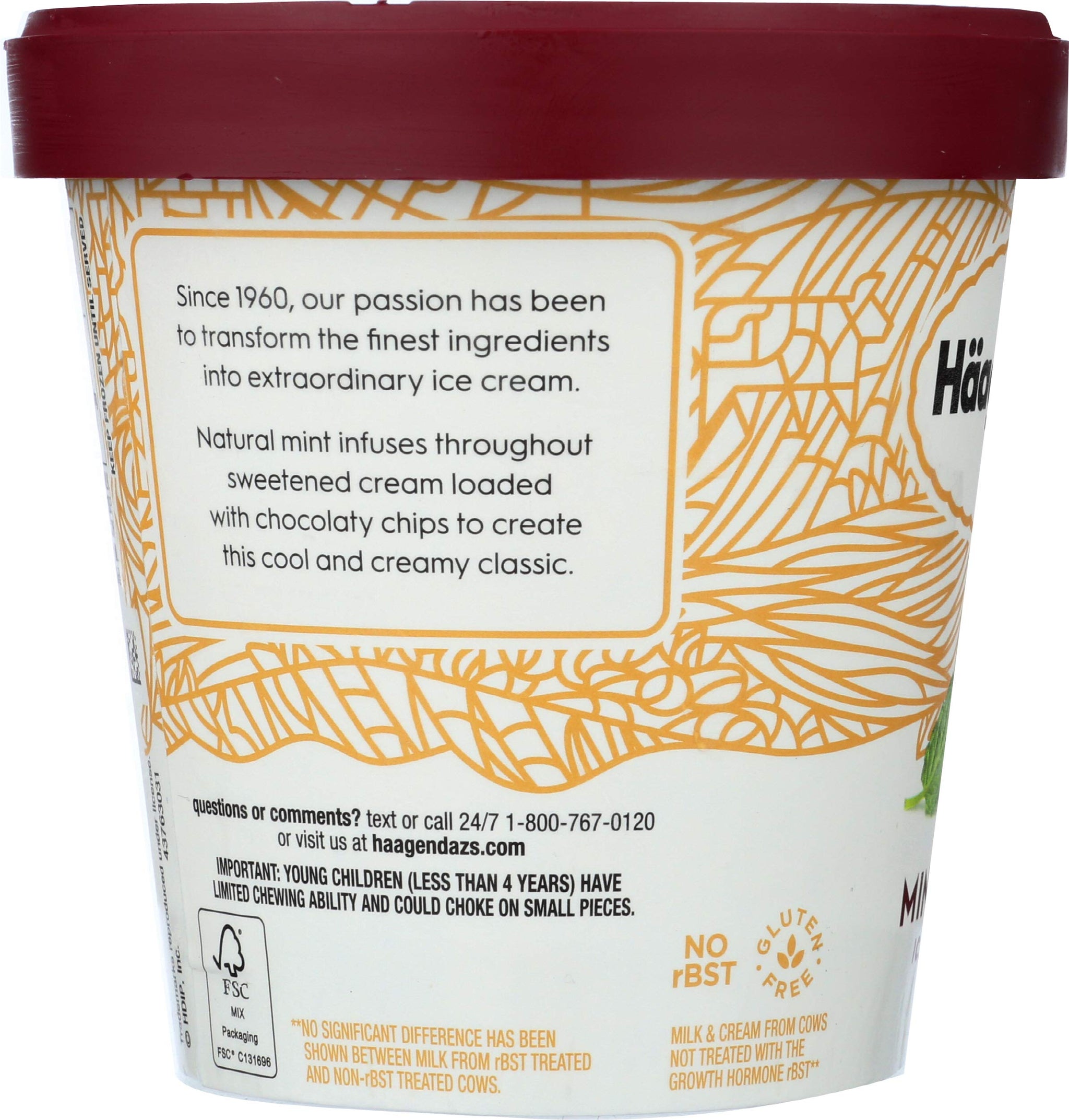 Haagen-Dazs, Mint Chip Ice Cream, 14-oz (Frozen)