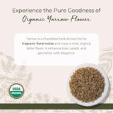 Starwest Botanicals Organic Yarrow Flowers - Dried Loose Leaf Herb for Tea, Cut & Sifted, Certified Kosher, Non-GMO - 4 oz Bag