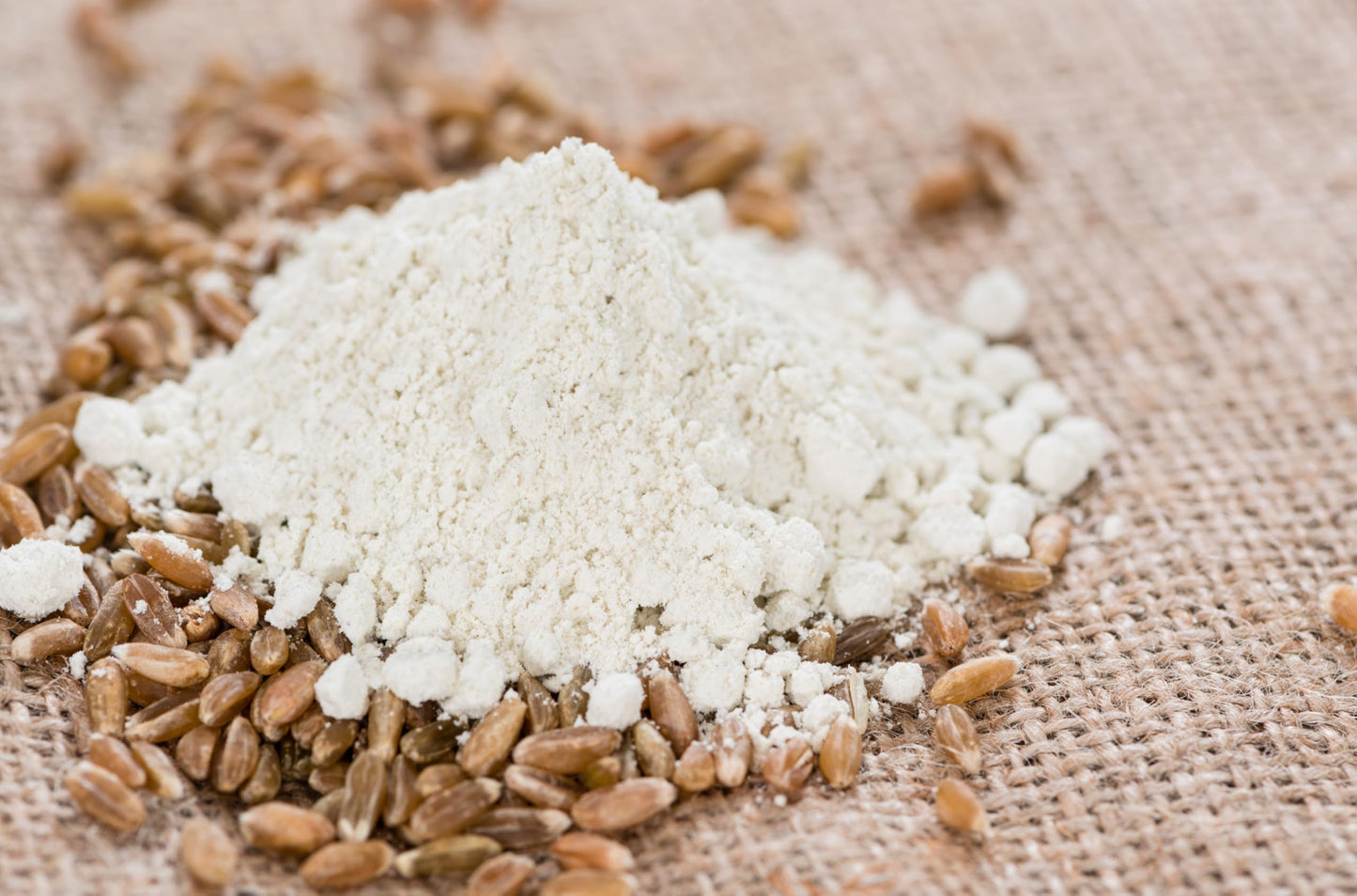 Bakerdale White Spelt Flour, 3.5 Pounds, Kosher Certified