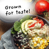 4Sisters - Organic Long Grain Brown Rice - Grown in USA - Sustainably Grown - Women Owned - Farm to Table - 2lb