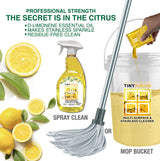 Tiny House Multi-Surface & Stainless Cleaner Kit