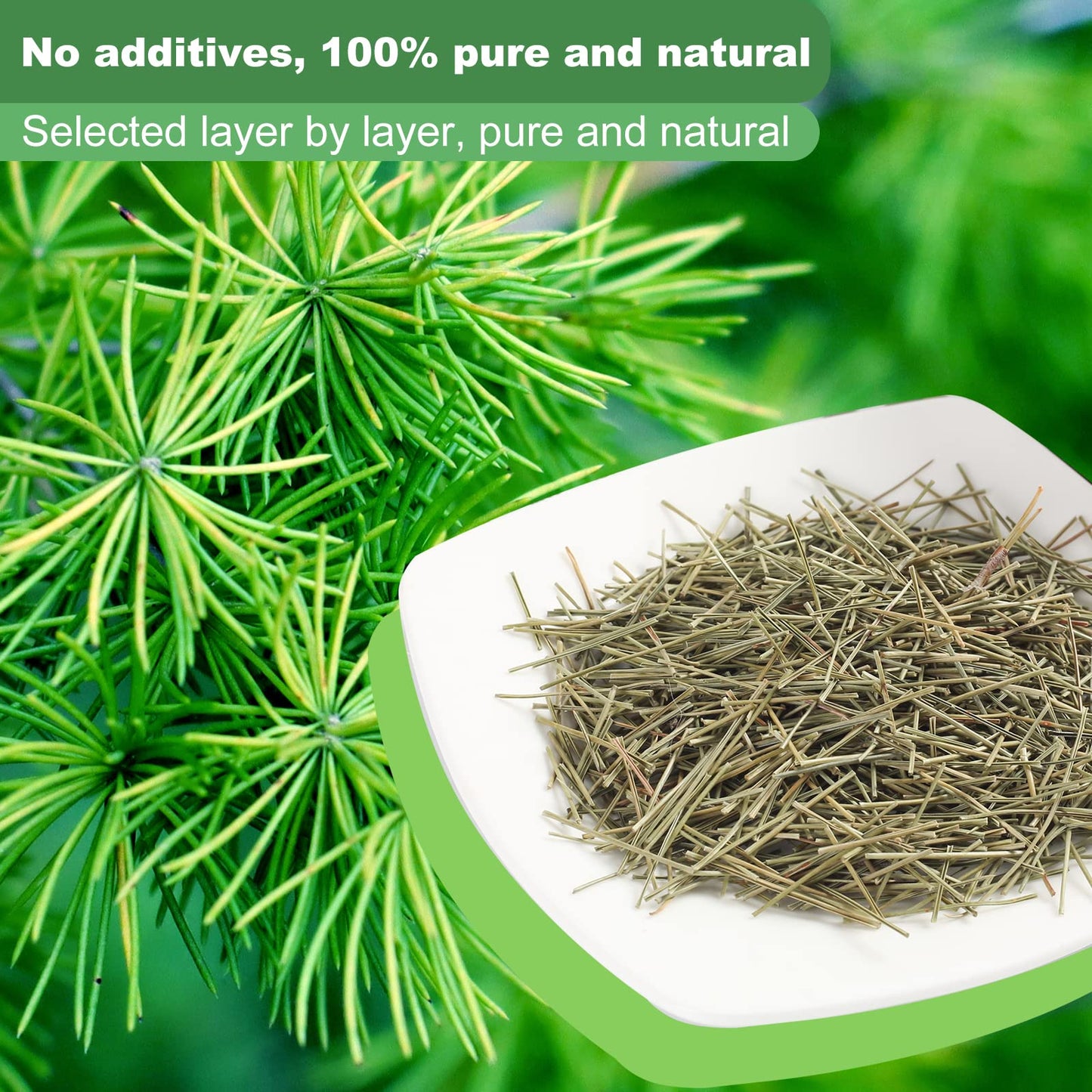 KASVAN Organic Pine Needle Tea (8.8 oz) - White Pine Needle Tea In Vitamin C And A,Easy To Use Suitable For Relaxation?immunity