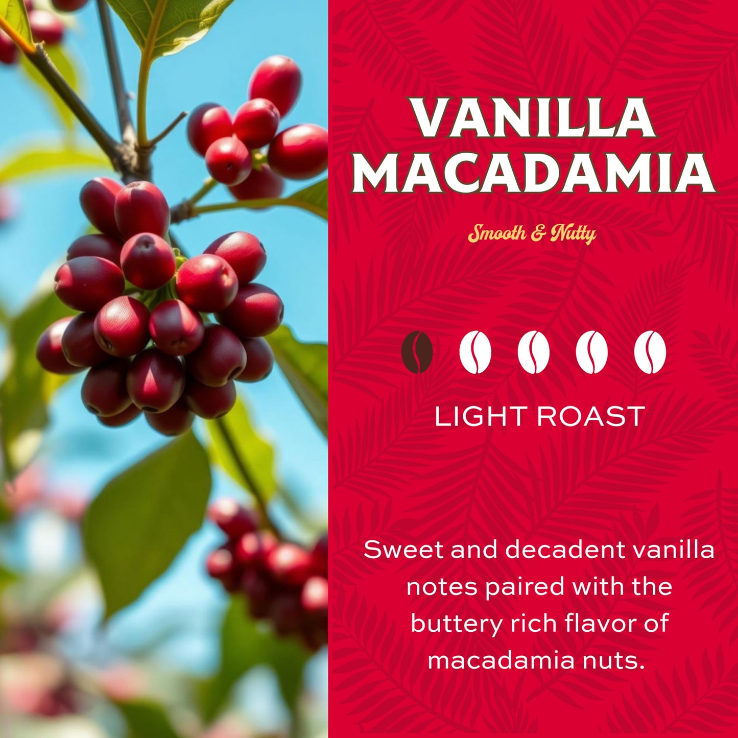 Lion Coffee Vanilla Macadamia Flavored Medium Roast Coffee Pods - Single-Serve Pods - Hawaiian Inspired Flavor - Arabica Coffee - Compatible