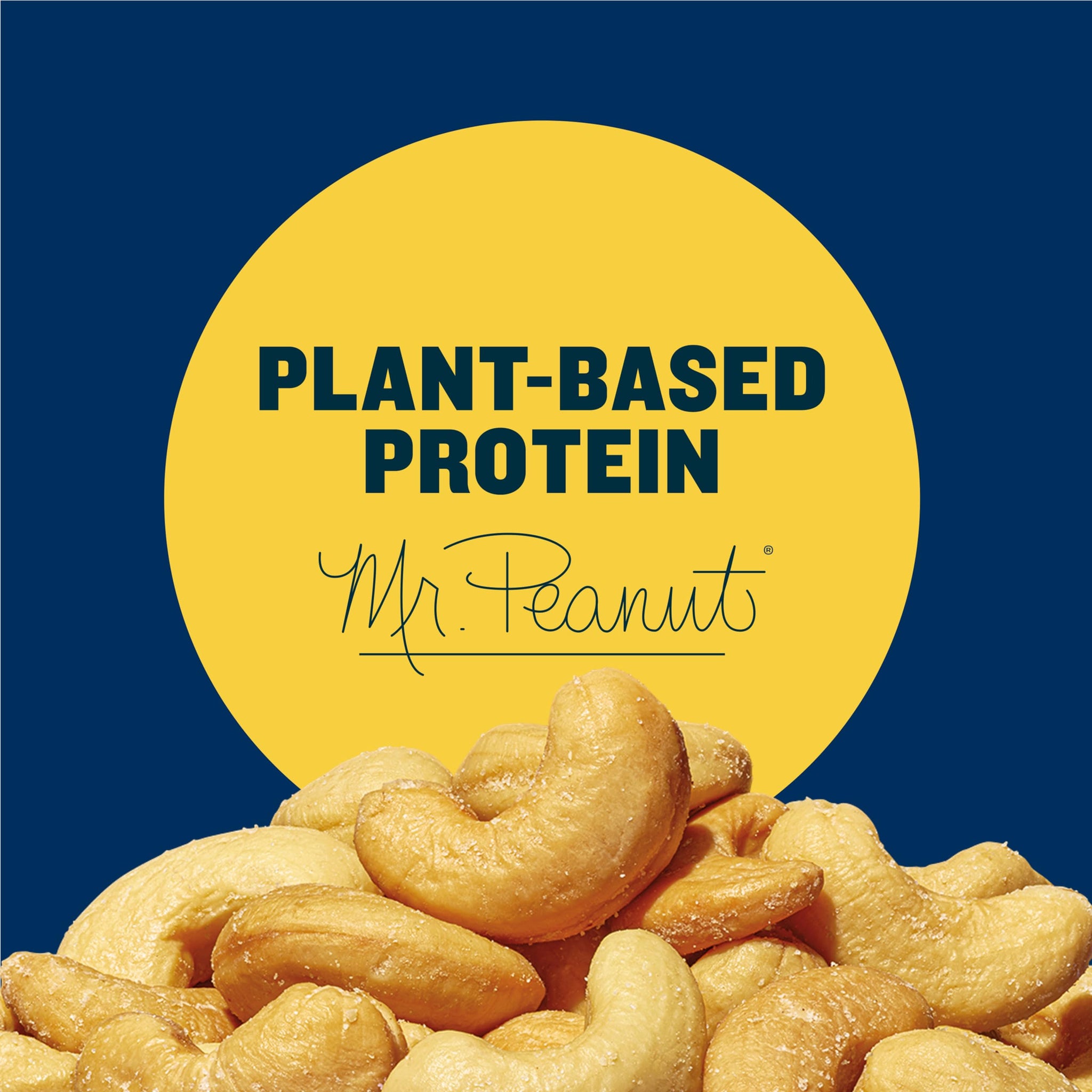 PLANTERS Salted Cashews, Roasted Cashews, Snacks for Adults, 2 oz Packages, 15 Count