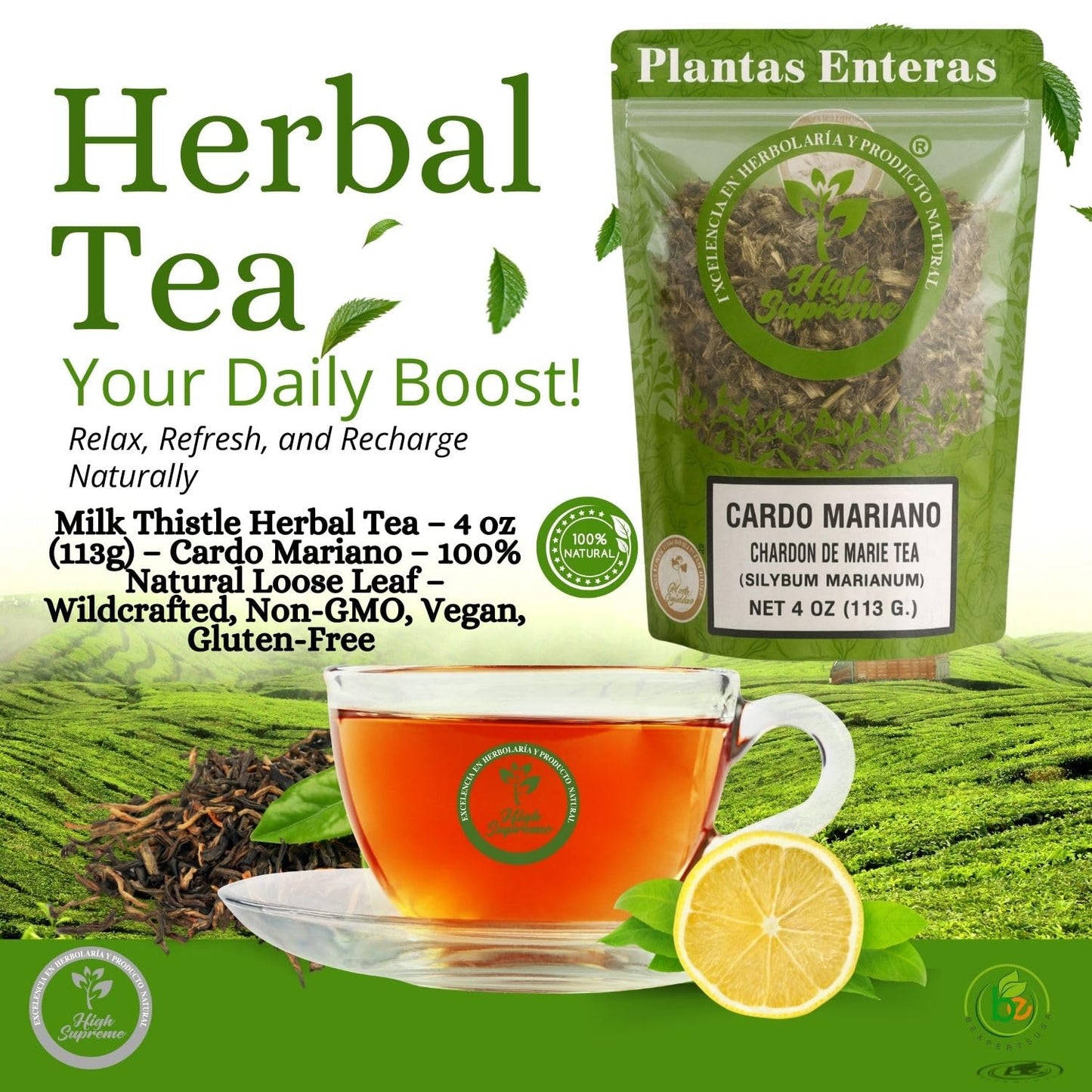 Milk Thistle Herbal Tea - 4 oz (113g) - Cardo Mariano - 100% Natural Loose Leaf - Wildcrafted, Non-GMO, Vegan, Gluten-Free - Resealable Bag - by High
