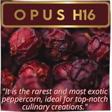 YUPANQUI OPUS H16 Ancestral Artisan Burgundy Organic Peppercorns Whole 8.8oz Rare Gourmet Peppercorn for Fine Dining Elevated Cooking Luxury Gifts