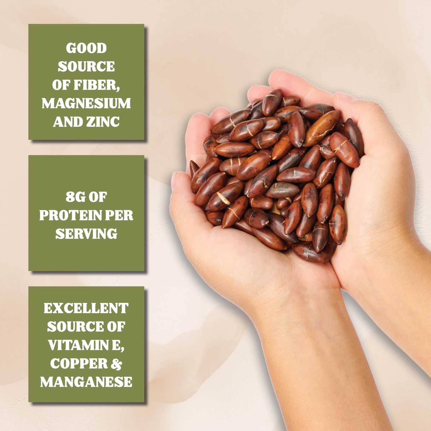 Gourmanity Brazilian Baru Nuts, 1.5 LB, Complex Nutty Flavor, High in Protein, Vitamin E and Omega 6 & 9, Roasted and Unsalted