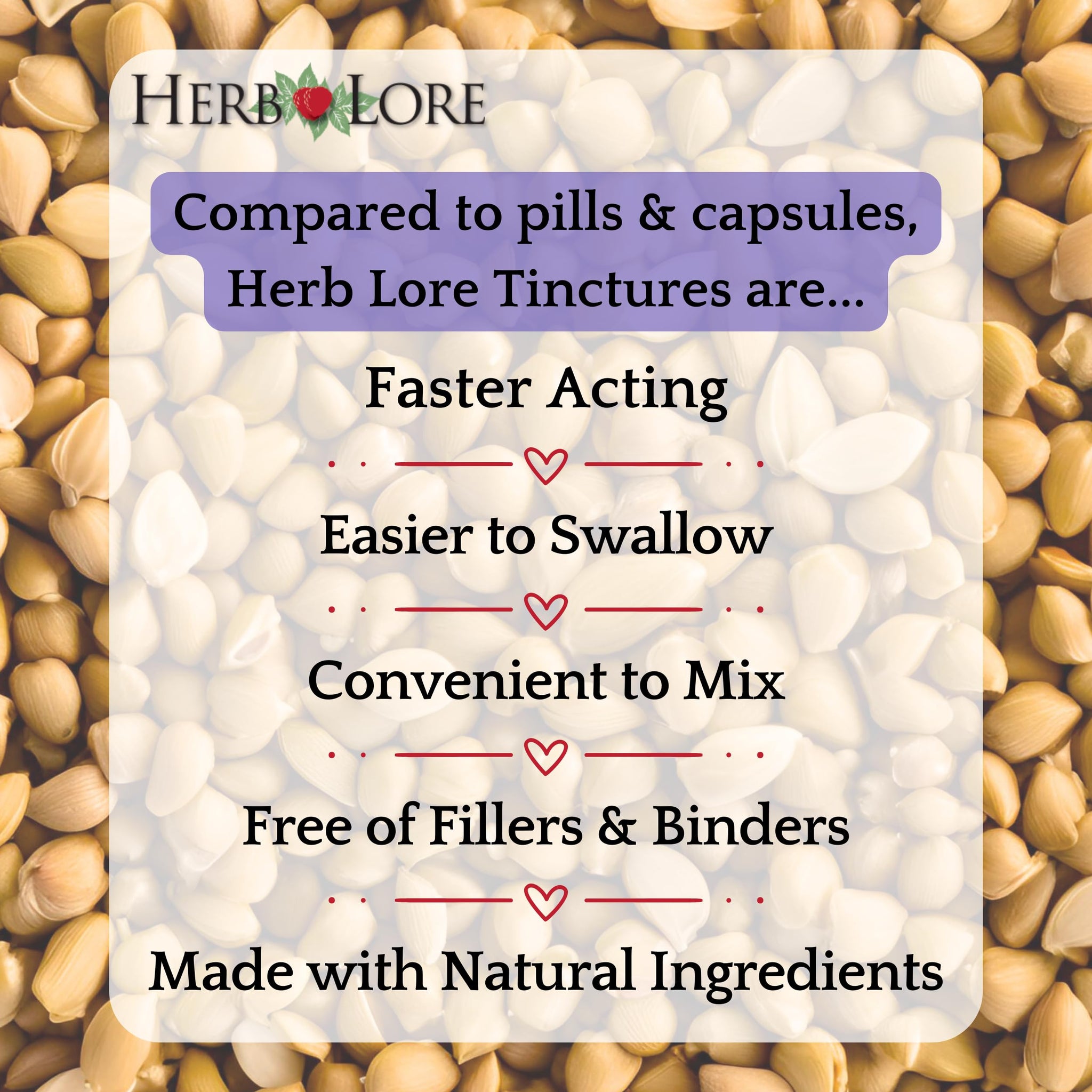 Herb Lore Organic Fenugreek Tincture - Alcohol Free Liquid Drops - Lactation Supplement for Breastfeeding Moms - 4 fl oz