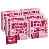 Nature's Bakery Fig Bar Minis, Raspberry, Whole Grain, Vegan Friendly, Kosher, Non-GMO, 10 Ounce (Pack of 6)