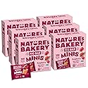 Nature's Bakery Fig Bar Minis, Raspberry, Whole Grain, Vegan Friendly, Kosher, Non-GMO, 10 Ounce (Pack of 6)