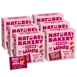 Nature's Bakery Fig Bar Minis, Raspberry, Whole Grain, Vegan Friendly, Kosher, Non-GMO, 10 Ounce (Pack of 6)
