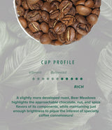 Rothrock Coffee Bear Meadows Dark Roast Whole Bean coffee 12oz Bag