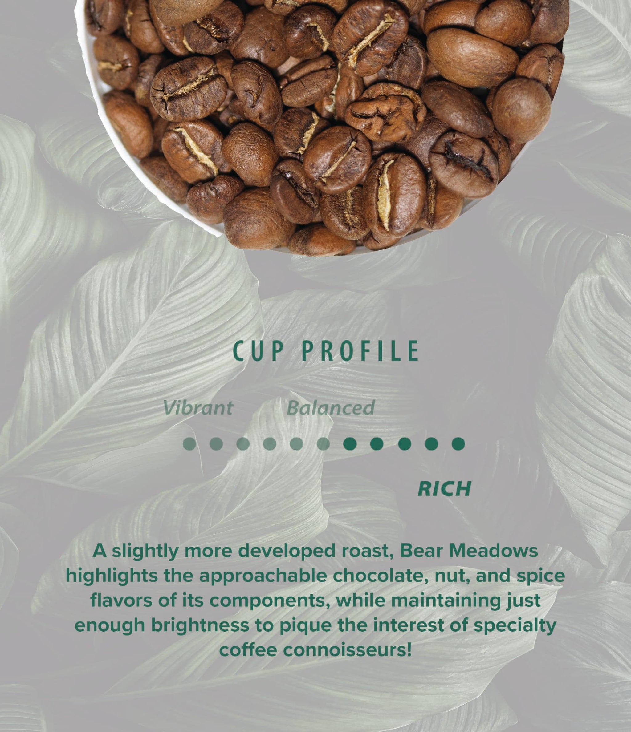 Rothrock Coffee Bear Meadows Dark Roast Whole Bean coffee 12oz Bag