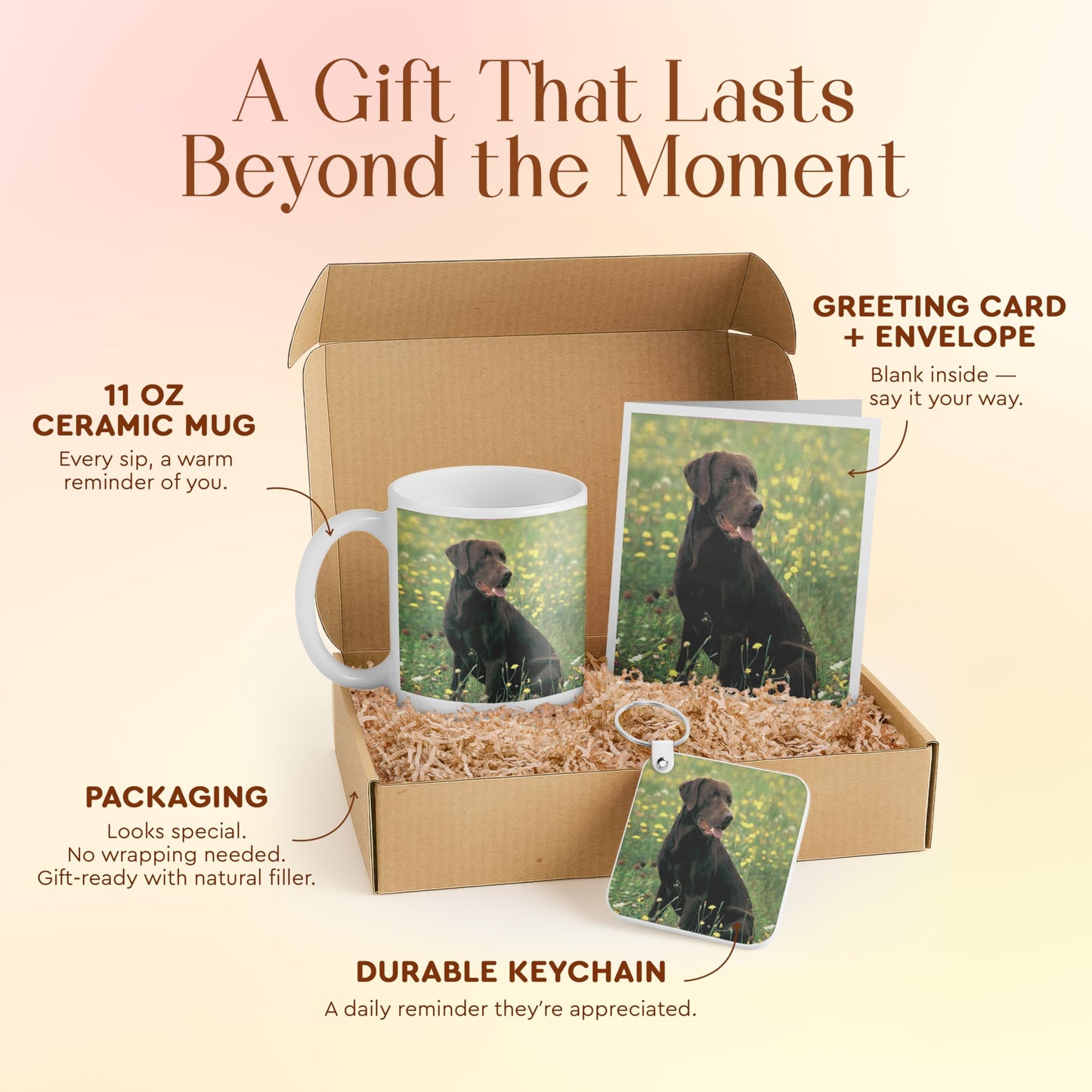 3dRose Chocolate Labrador Retriever Gift Set - Includes Mug, Keychain, and Card - Ideal Gift for Dog Lovers, Birthdays, and Holidays