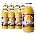 Texas Squeeze Orange Juice, NON GMO Verified, Texas Grown and Bottled, Orange Juice from Concentrate, No Sugar Added, No Preservatives, 16 fl oz, Pack